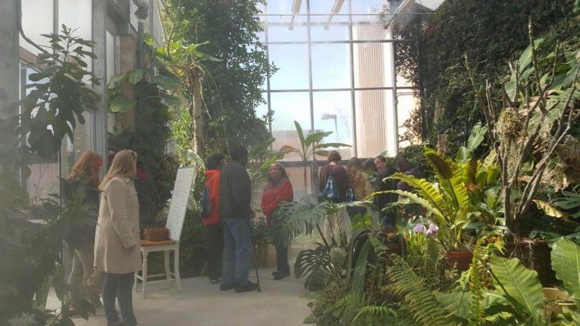 Visitors in the Display Conservatory